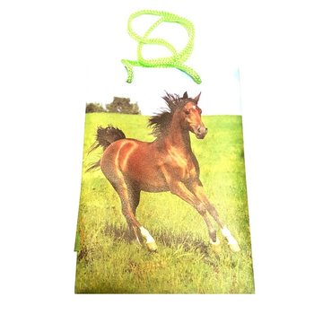 PAKKAUSPUSSIT EL&Auml;INMIX - 12x17,5 (12 kpl)
