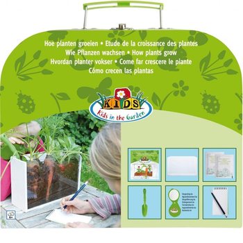 ***BESTSELLER*** OUTDOOR-LAUKKU: KUINKA KASVIT KASVAVAT