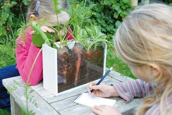 ***BESTSELLER*** OUTDOOR-LAUKKU: KUINKA KASVIT KASVAVAT
