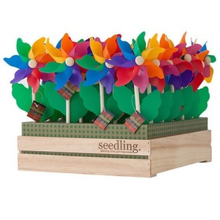 SEEDLING - TUULIMYLLYT ESILLEPANO-DISPLAYSSÄ (20 kpl)