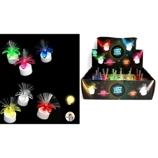 VALAISTUT LED-KUKAT ESITTELYLAATIKOSSA (24 kpl)